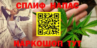 МДПВ Гатчина