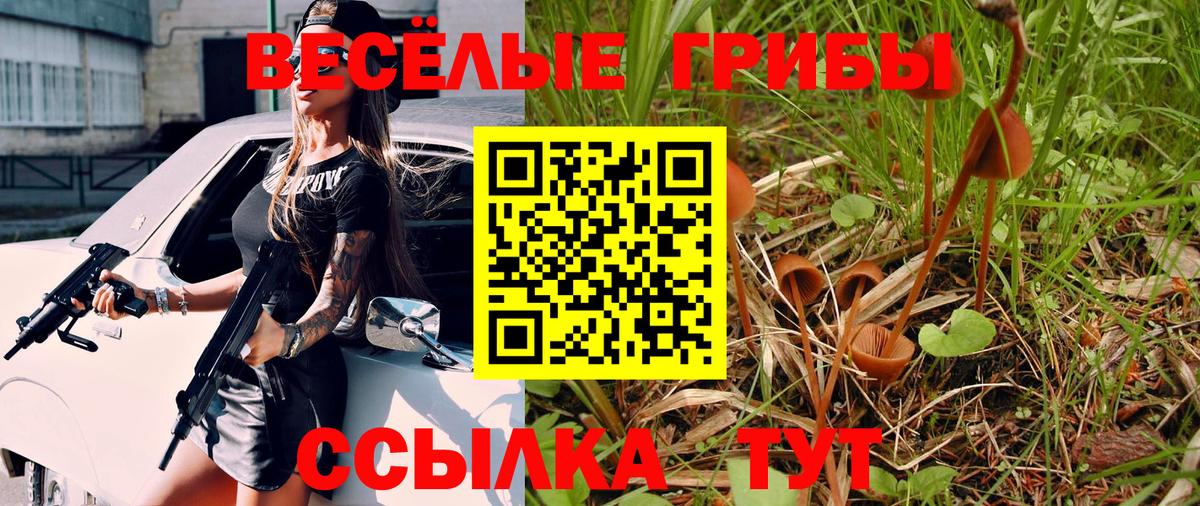 Псилоцибиновые грибы ЛСД Орёл